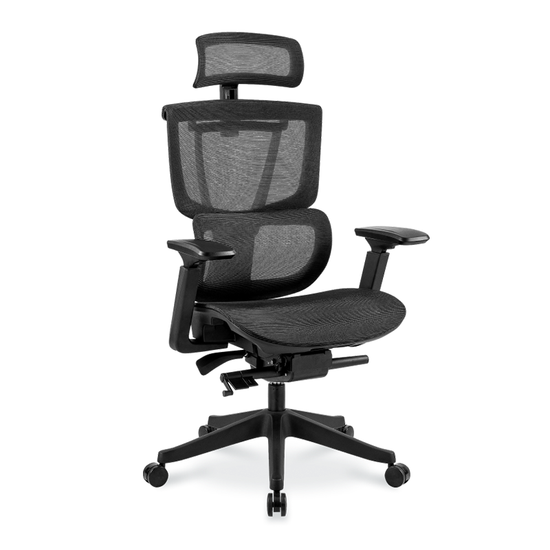 Premium Ergo Office Chair (C7)