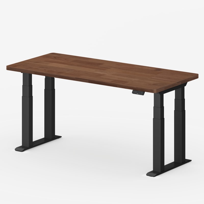 Flexispot E7 Plus Max