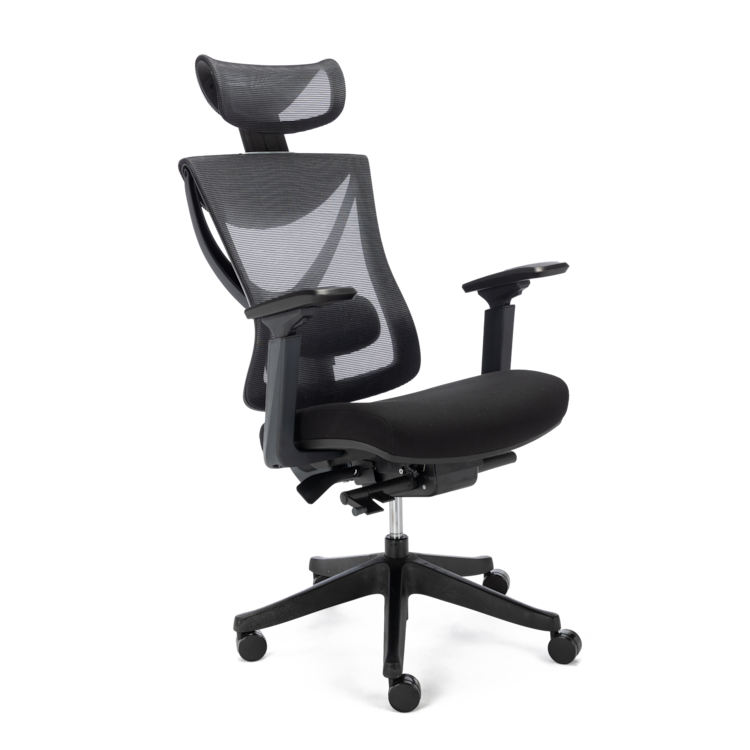 Ergonomic Office Chair with 5 Gears Lumbar Support | 4Dock