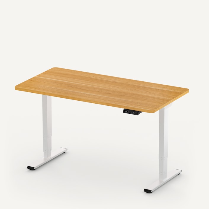 E5 Electric Height Adjustable Standing Desk | FlexiSpot US