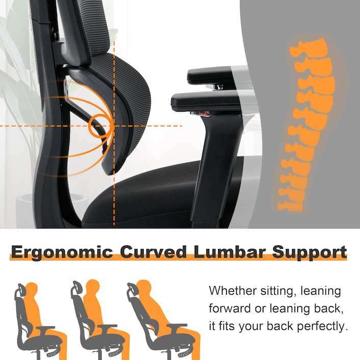 Ergonomic Office Chair with footrest(C6)