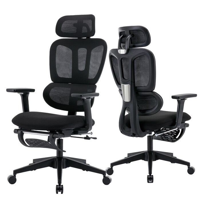 Flexispot on sale ergonomic chair