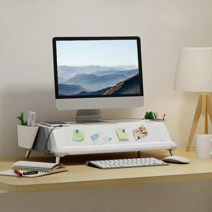 Flexispot monitor stand workstation discount