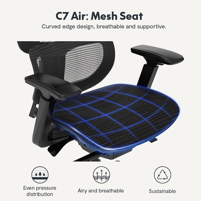 Bod Support Lumbar Support for Office Chair & Car Back Support for Lower Back Pain Relief Healthy Posture and Improved Productivity - Includes des