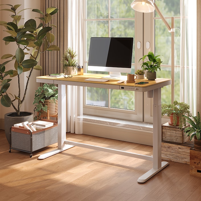 WalkingPad Height Adjustable Desk with Walnut Desktop and White Frame. Best Partner of Under Desk Treadmills, Your Smart Choice for Modern Office.