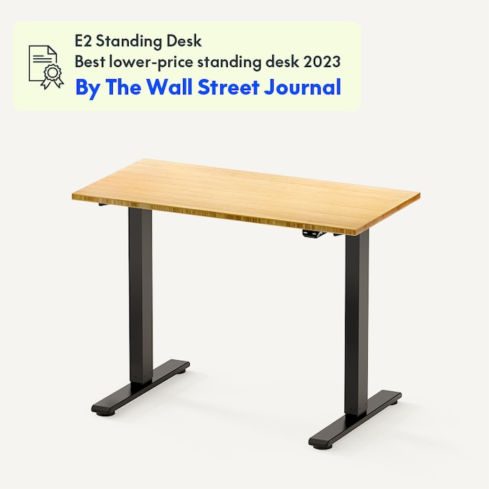 FlexiSpot Value Electric Adjustable Standing Desk E1 | Sit Stand Up Desk | White Home Office Desk 42 × 24 inch with Basic Keypad
