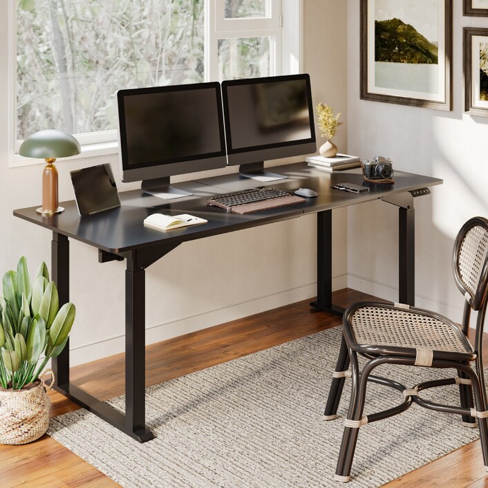 Sanodesk review top