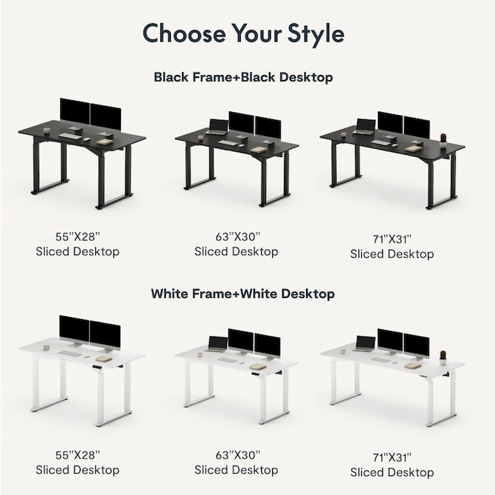Flexispot sanodesk store
