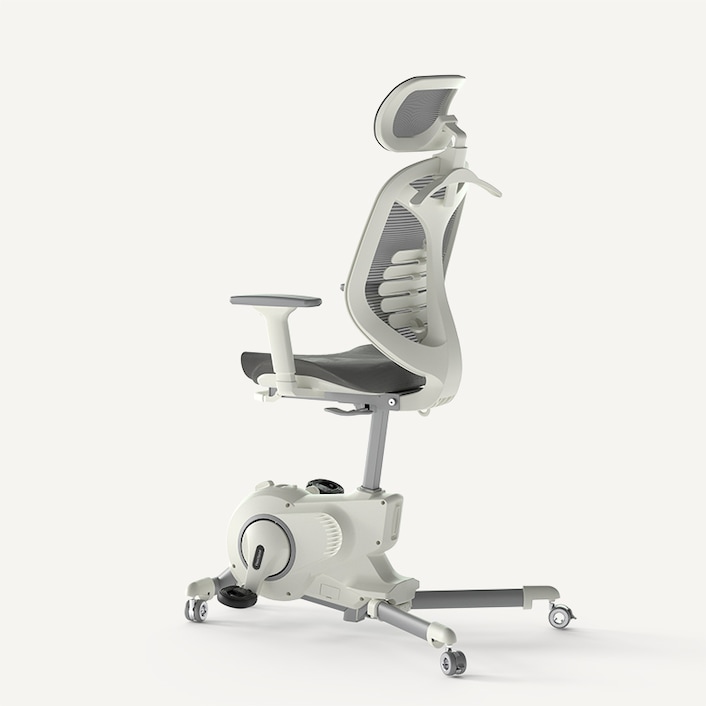 FlexiSpot Sit2Go Pro 2-in-1 Fitness Chair/Desk Bike Chair