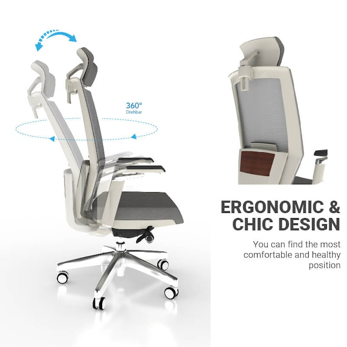 Back Support Ergonomic Office Chair OC13