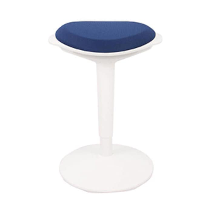 Flexispot hotsell wobble stool