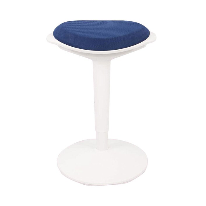 Flexispot sales wobble stool