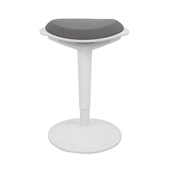 Flexispot wobble sale
