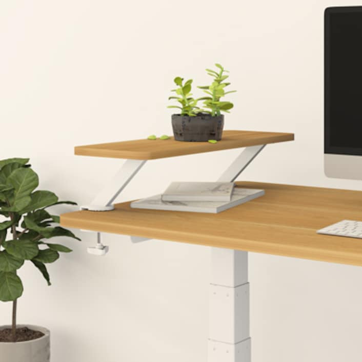 Flexispot riser sale