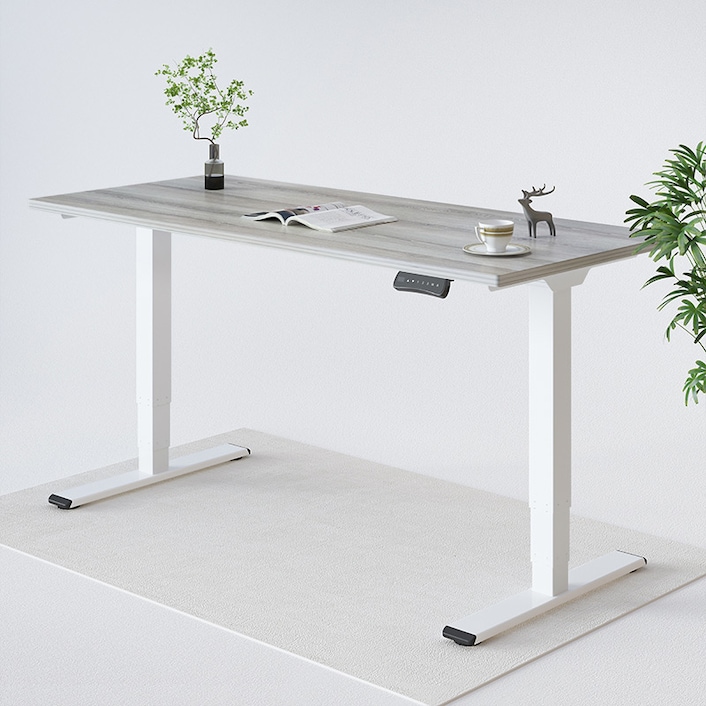 Standard Standing Desk (E5)