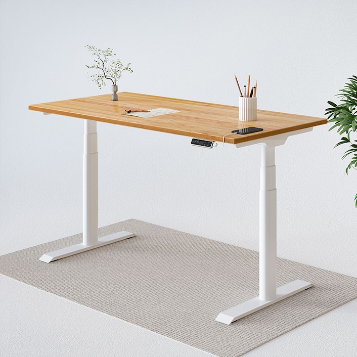  FLEXISPOT DIY Height Adjustable Standing Desk Frame