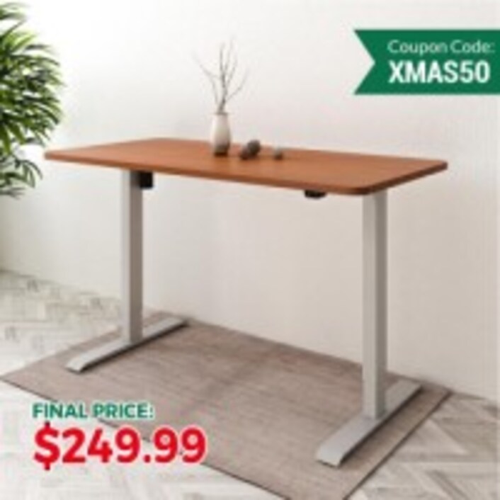 55 Electric Height Adjustable Standing Desk EN1 FlexiSpot, 48 OFF