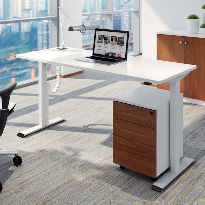 Flexispot Value Electric Height Adjustable Standing Desk EF1 Flexispot  Value Electric Height Adjustable Standing Desk EF1 Sit Stand Table from  <strong>MYR1349</strong>, Products