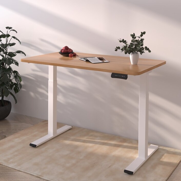 Flexispot e2al new arrivals