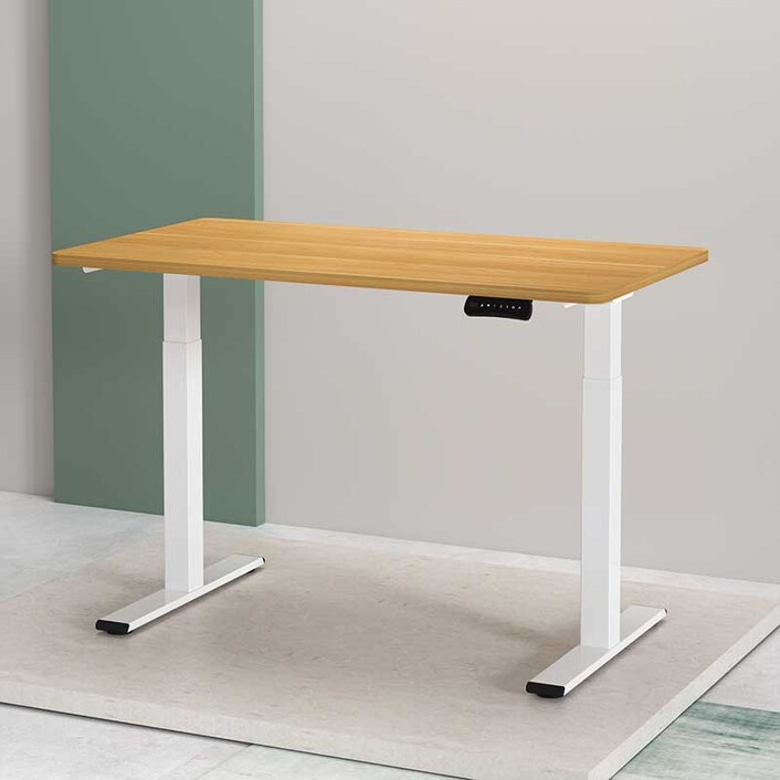 Flexispot e2al new arrivals
