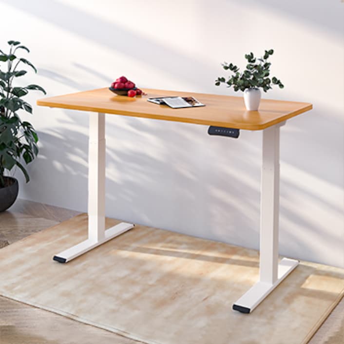 Flexispot e2al best sale