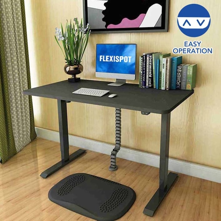 FLEXISPOT EC1 Electric Standing Desk Whole Piece 48 x 30 Inch Desktop  Adjustable Height Desk Home Office Computer Workstation Sit Stand up Desk  (White