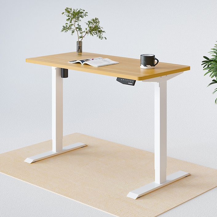 FLEXISPOT EN1B DIY Adjustable Desk Frame Electric Sit Stand Desk Base Home  Office Standing Desk(Black Frame Only)