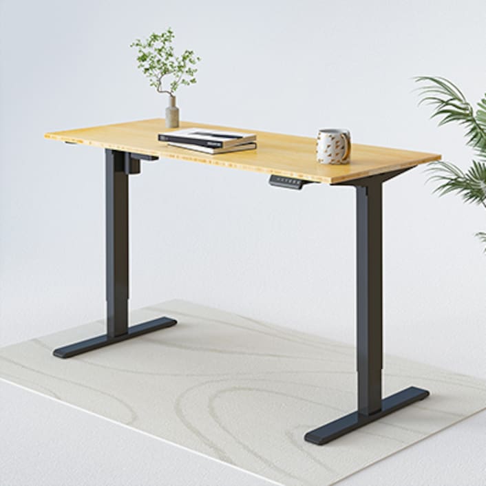 Standard Standing Desk E1 Pro