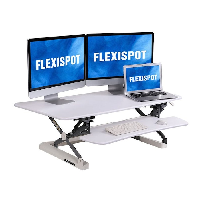Flexispot classicriser outlet