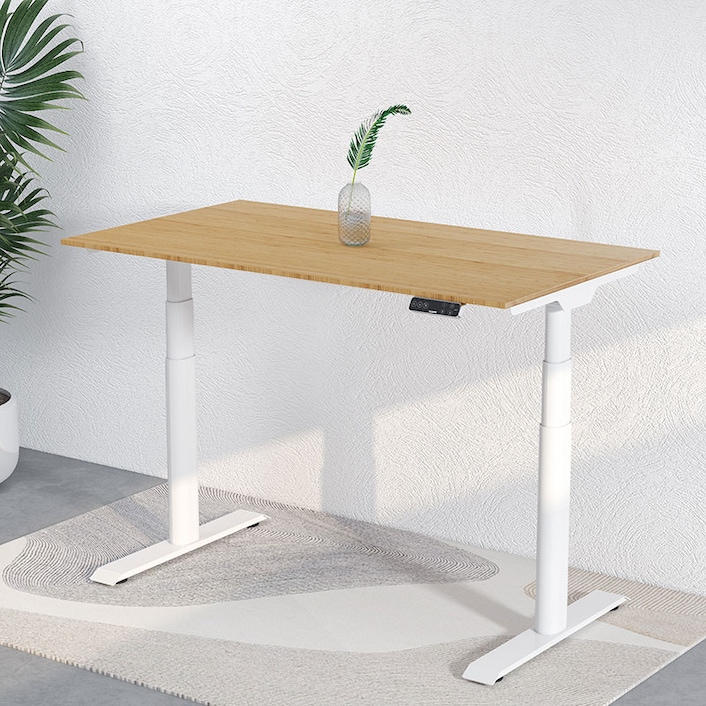 Flexispot Kana Pro Bamboo Standing Desk Review (Mom Gifts -  - Idea)  