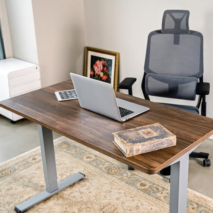FlexiSpot 40x24 Ergonomic Home Office Electric Height Adjustable Desk  White Computer Desk Standing Desk 