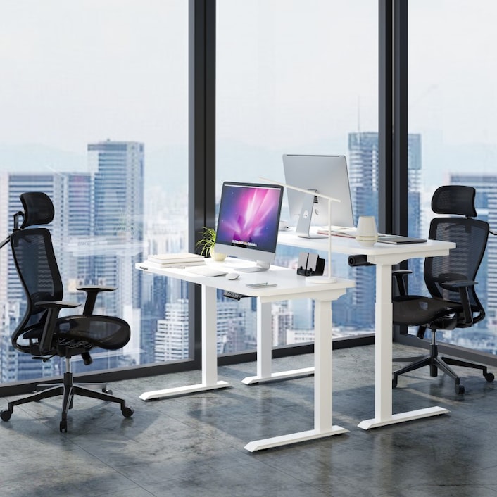 Height Adjustable Standing Desk E9