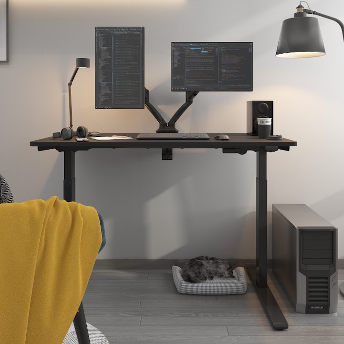 FlexiSpot E9 Quick-Install Metal Electric 48W Height-Adjustable Standing  Desk, Black