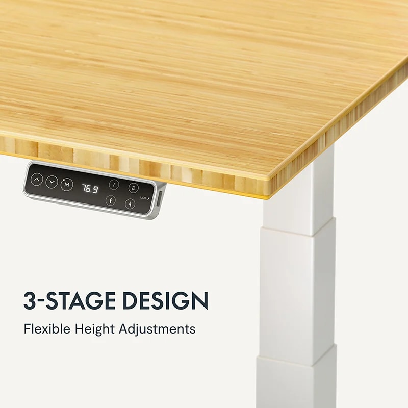 Pro Plus Standing Desk (E7) | Flexispot