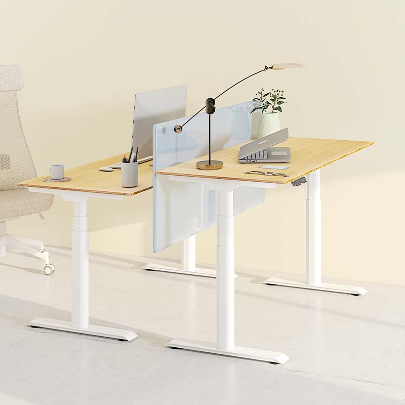 Product details | Flexispot