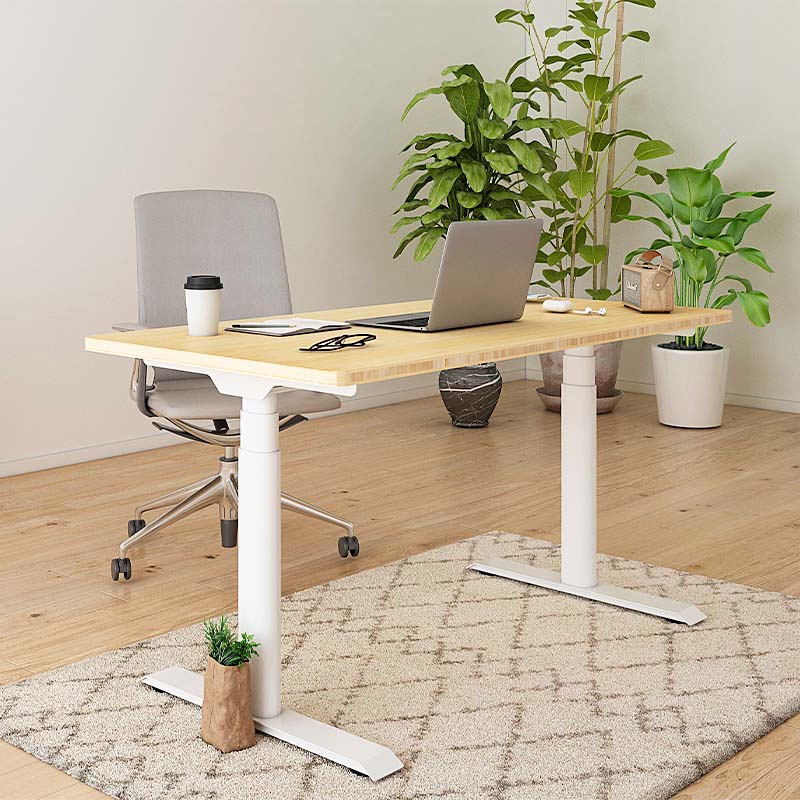 Product details | Flexispot