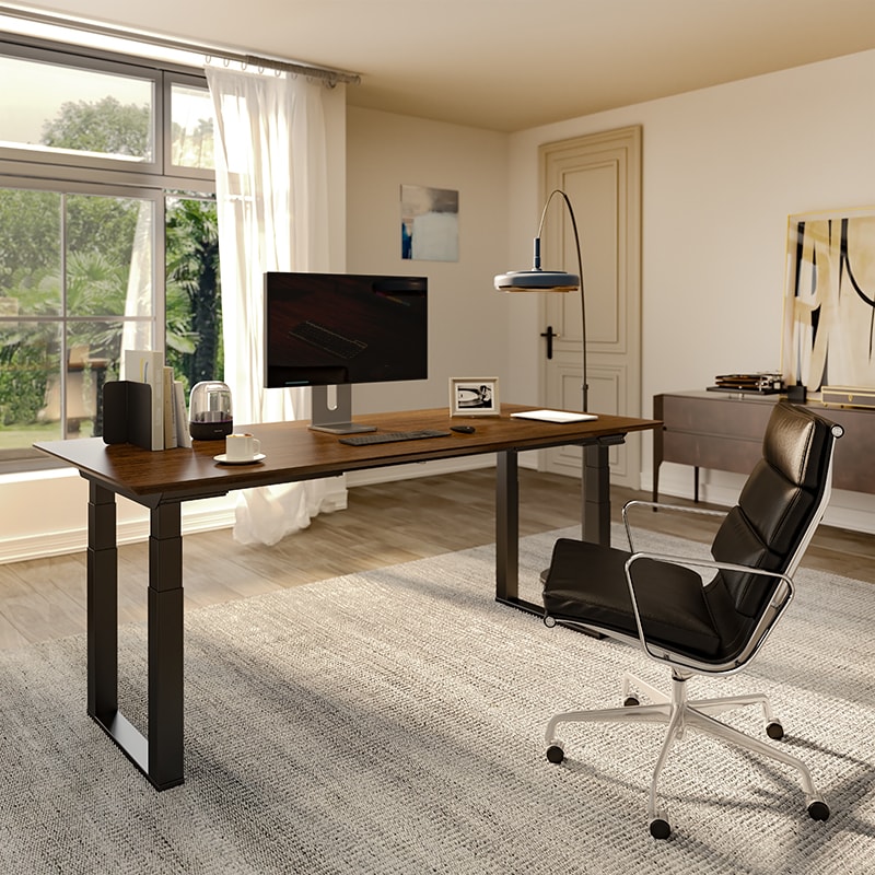 FlexiSpot Odin 4-Leg standing desk E7Q