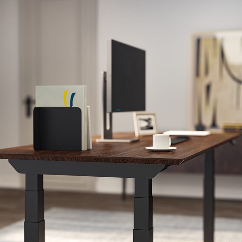 FlexiSpot Odin 4-Leg standing desk E7Q