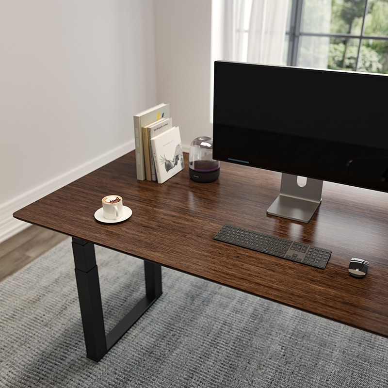 FlexiSpot Odin 4-Leg standing desk E7Q