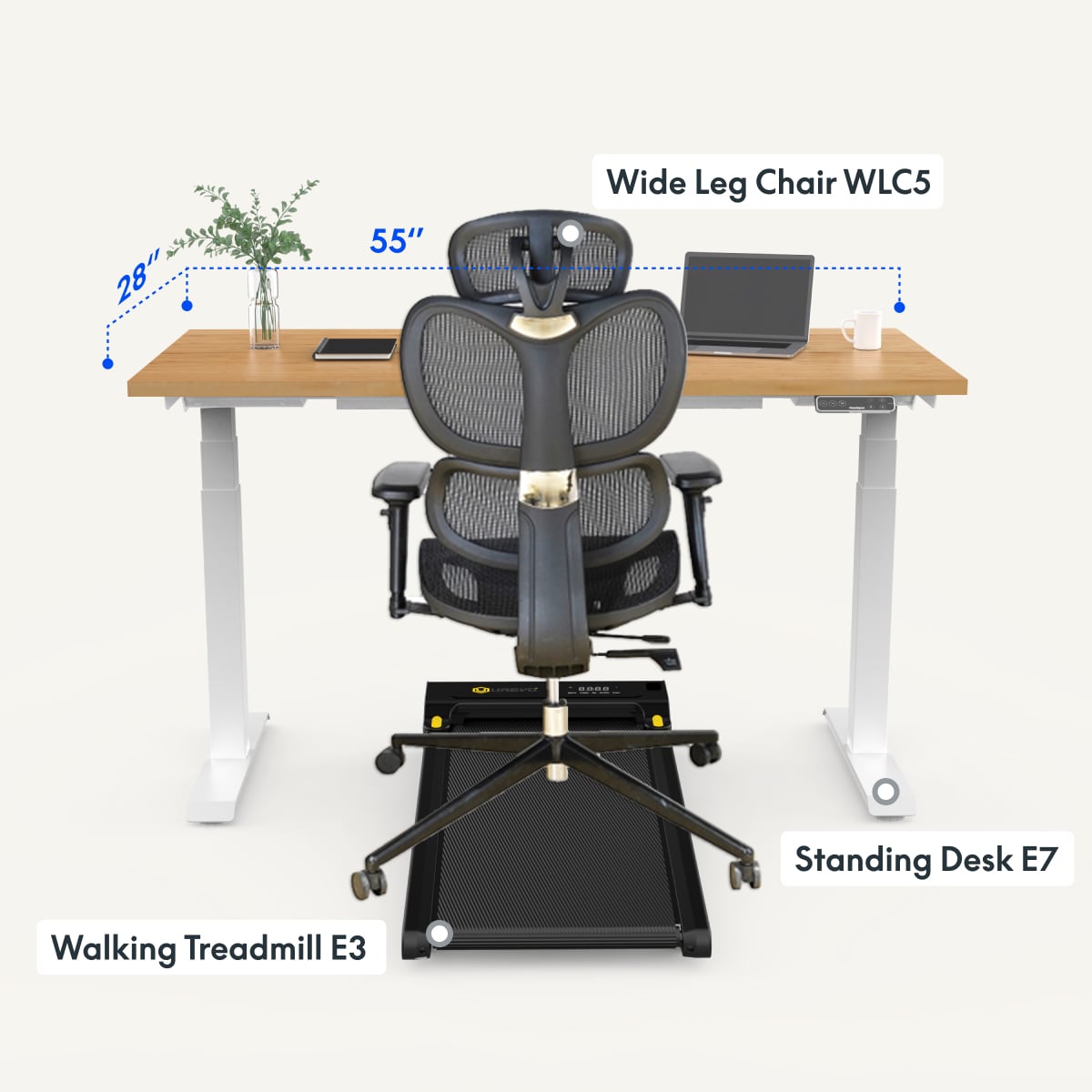 Sit-Stand-Walk Bundle