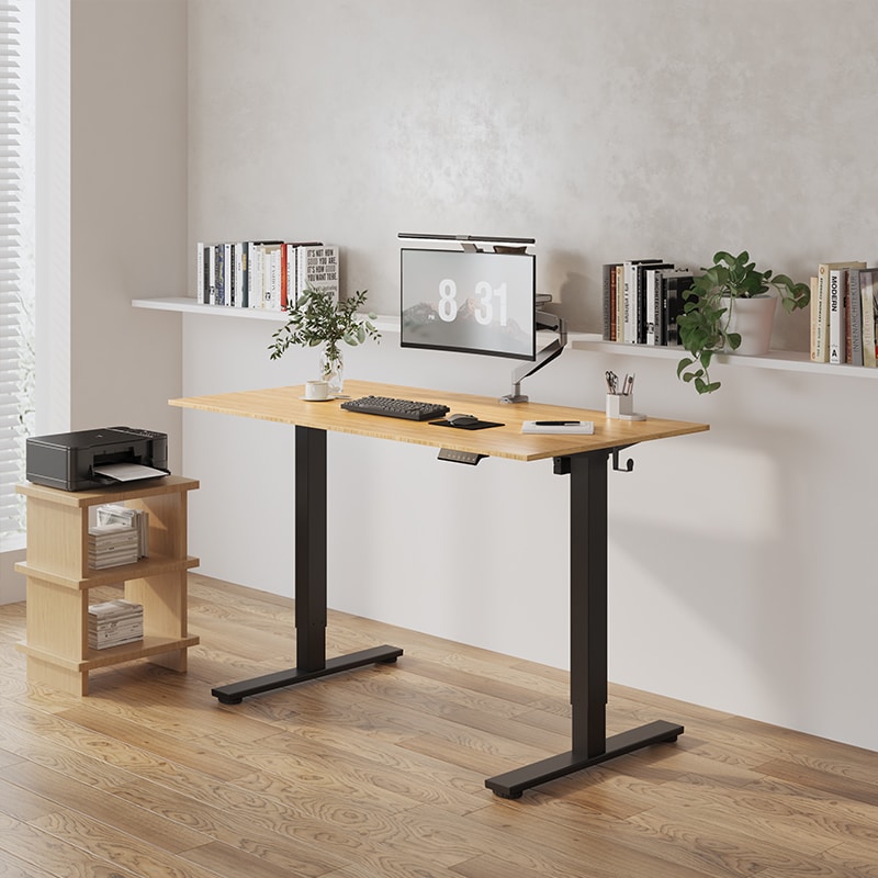 Rectangular Electric Height Adjustable Standing Desk | FlexiSpot
