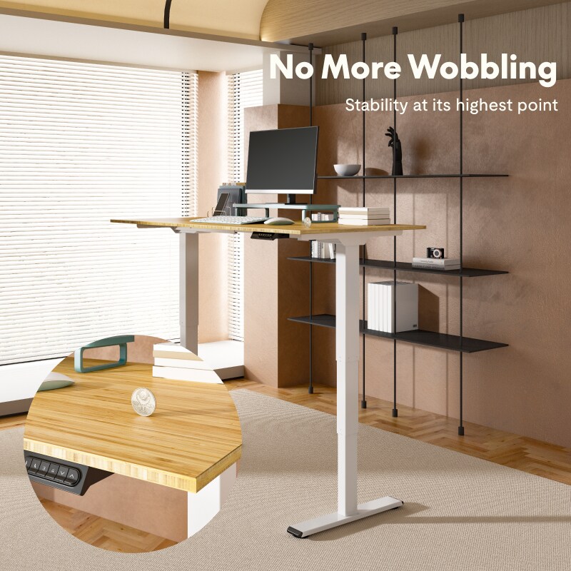 E5 Electric Height Adjustable Standing Desk | FlexiSpot US