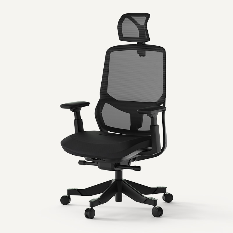 Soutien Ergonomic Office Chair (OC10B)