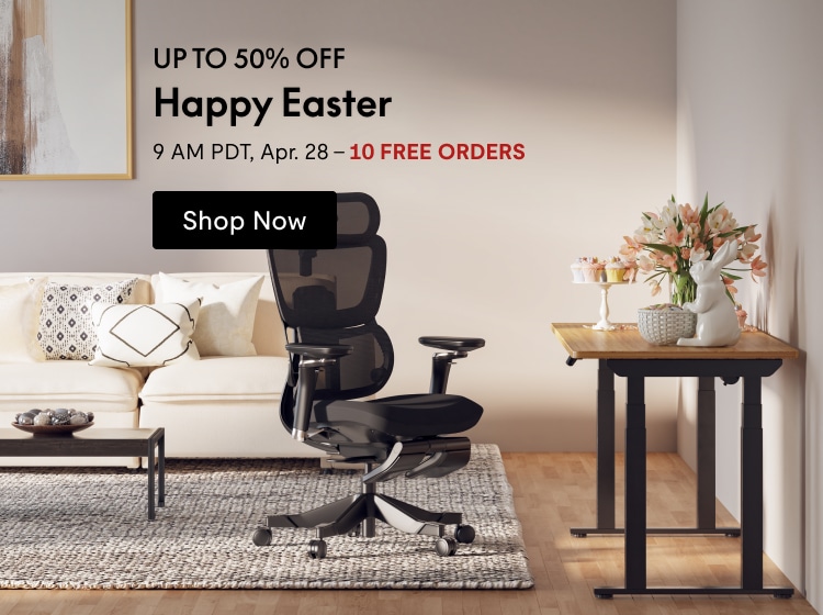 Standing Desk | Home Office | Office Desk | FlexiSpot