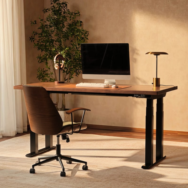 Premium 4-Leg Standing Desk E7 Plus Max|FlexiSpot Height