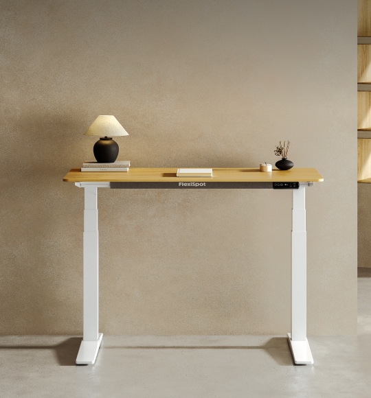 Amazon.com: FLEXISPOT E6 MAX Dual Motor 3 Stages Standing