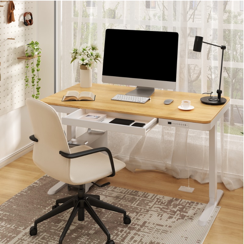 Comhar All-in-One Standing Desk with Drawer (Wooden Tabletop) EW8