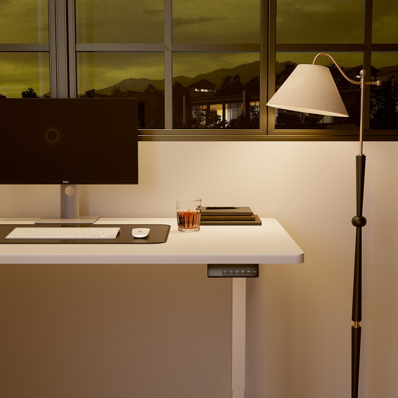 FLEXISPOT EHD5 Retro Electric Standing Desk With Adjustable Height