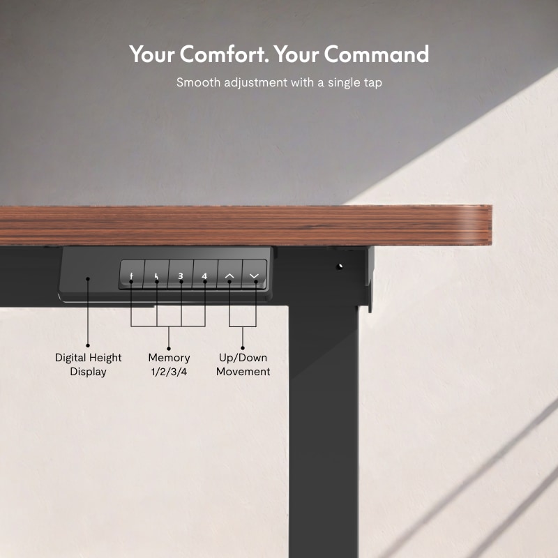 E5 Electric Height Adjustable Standing Desk | FlexiSpot US