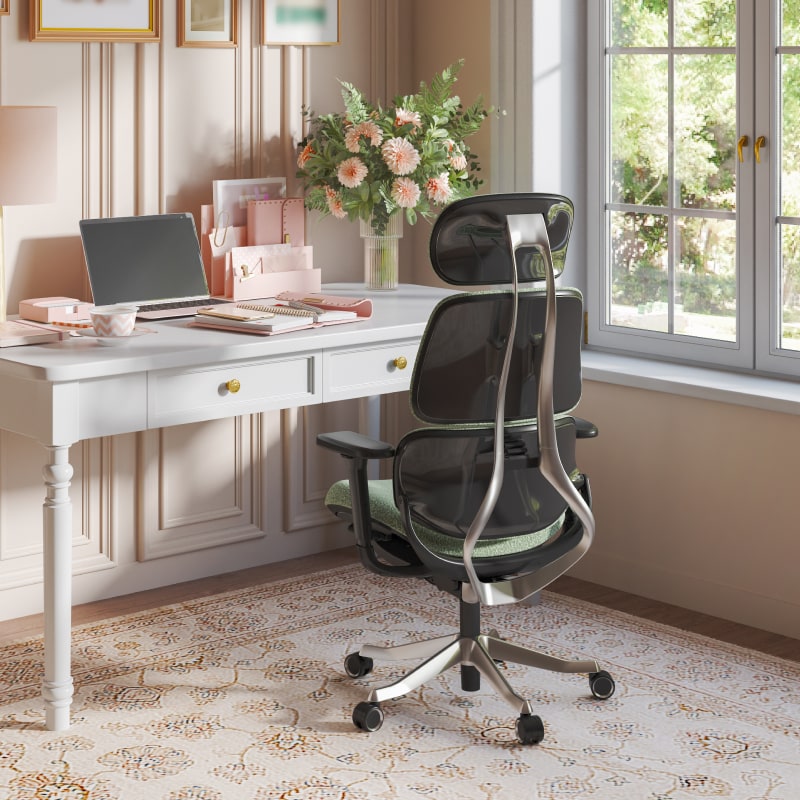 Premium Ergo Executive Chair R8丨FlexiSpot